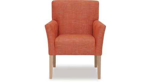 Petra Armchair / Occasional Chair